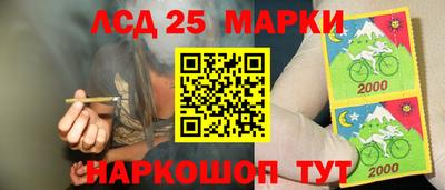 mdpv Камышлов