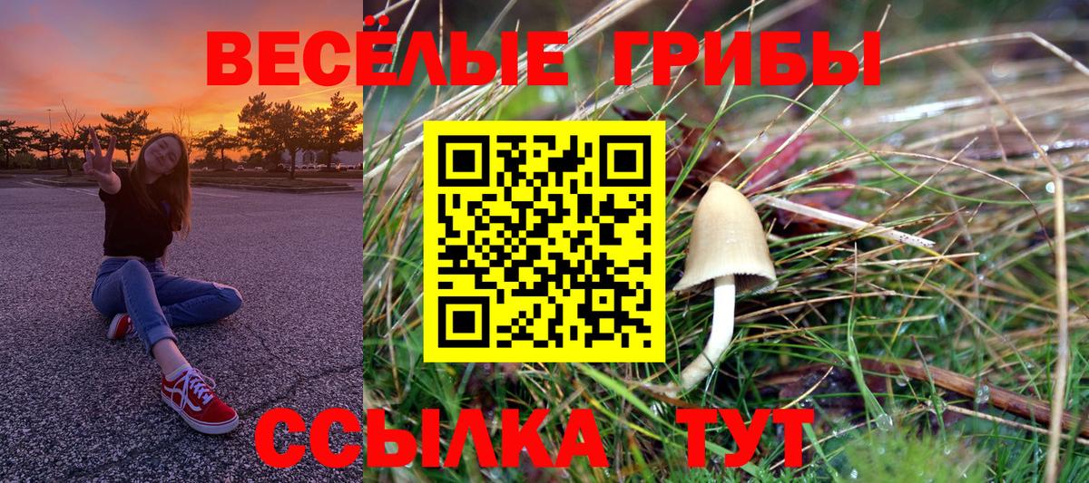 Галлюциногенные грибы Psilocybine cubensis  Галлюциногенные грибы Psilocybine cubensis  Вход с VPN  Феодосия 